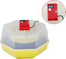 Electric Incubator Cleo-5 with Thermo-Hygrometer