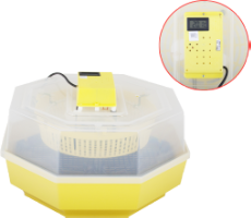 Electric Incubator Cleo-5 with Thermo-Hygrometer and Egg Turner